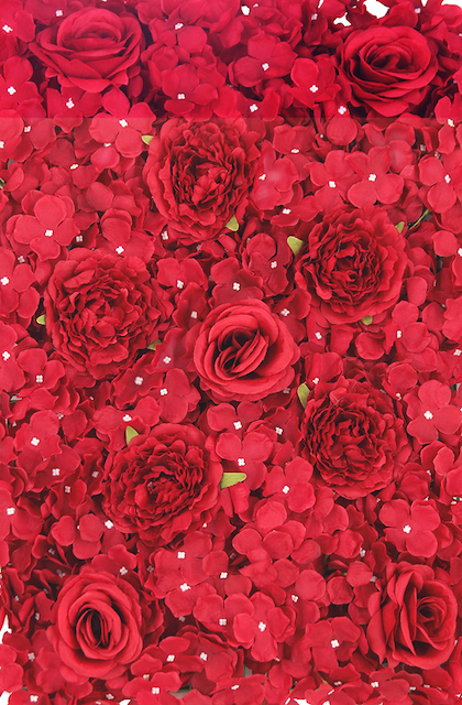 SJH Entertainment Red Flower Wall